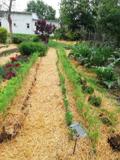 Au Coeur Du Jardin Villa La Boussac Dış mekan fotoğraf